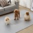휴팡 PVC 단면 4T 사각형 강아지매트 미끄럼방지 슬개골보호 애견매트 대형 140 x 200cm