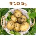 26년 햇 감자 3kg(중)