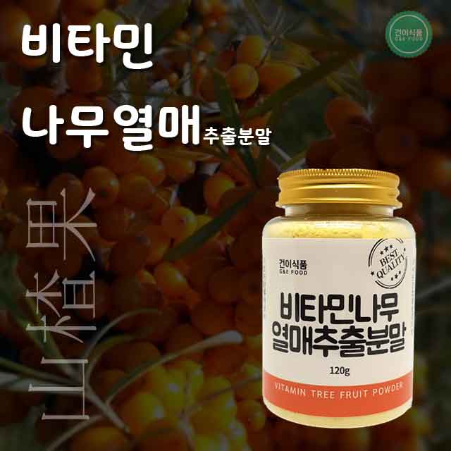 [건이식품]비타민나무120g/병