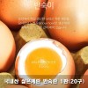 국내산 삶은계란 반숙란 1판(20구)