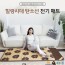 [대진전자]힐링시대 EMF 인증 1난방 탄소열선 전기매트 싱글1000*2000mm DEB-6031