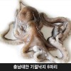 충남태안 기절낙지 6마리(대2마리,특대2마리,왕특대2마리)
