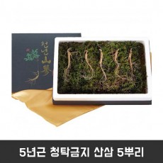 5년근 청탁금지 산삼 5뿌리