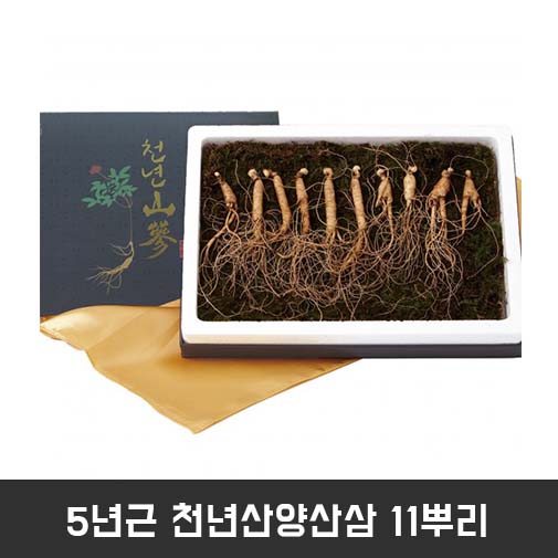 5년근 천년산양산삼 11뿌리