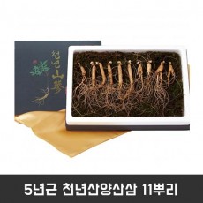 5년근 천년산양산삼 11뿌리