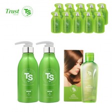 [TS샴푸] 프리미엄 TS 샴푸 500ml×2개+TS 실크 케라틴 헤어 에센스 170ml+프리미엄 샴푸 6ml×10개