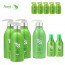 [TS샴푸] 프리미엄 TS 샴푸 500ml×3개+프리미엄 TS 샴푸 100ml×2개+프리미엄 TS 컨디셔너 500ml+프리미엄 샴푸 6ml×5개
