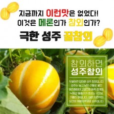 성주 참외 로얄참외 2.5k(4~7과)