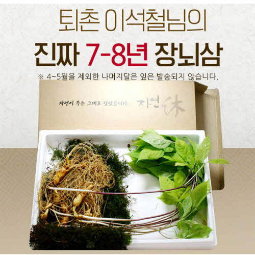 퇴촌 이석철님의 장뇌삼 10뿌리