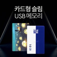 투이 카드형 USB 메모리 16G