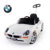 BMW Z8 푸쉬카