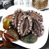 [산지직송]완도산 참전복(보자기선물포장) 1kg(11-12미)