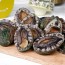 [산지직송]완도산 참전복 1kg(17-18미)