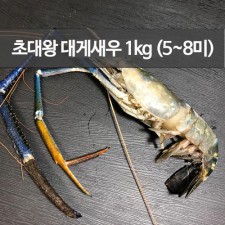 초대왕 대게새우 1kg (5~8미)