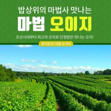 3천년 마법오이지 2봉 (2k이상)
