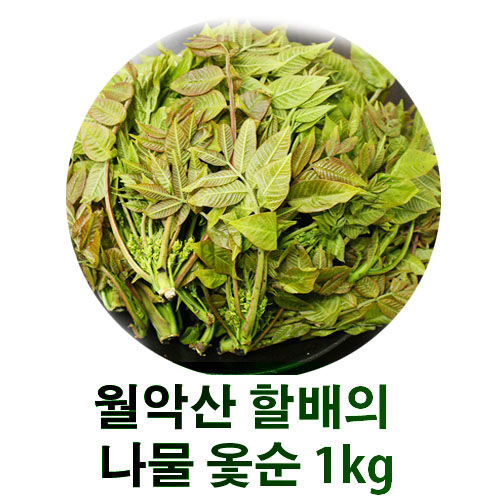 월악산 할배의 나물 옻순 1kg