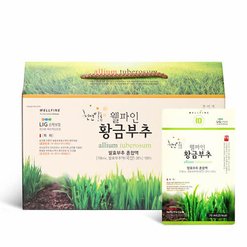 웰파인 발효 황금부추즙 70mlx30포