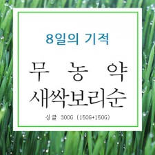 8일 새싹보리순 싱글 300g(150g+150g)