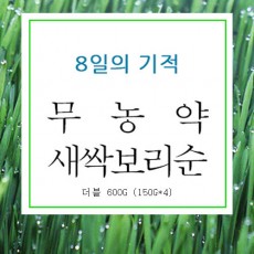 8일 새싹보리순 더블 600g(150g*4)