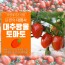 소양강 대추방울 토마토 빨강대추 3k