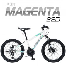 [지오닉스] 2019 뮤트 MTB 22