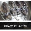 쫄갑오징어 1+1+초장+버터