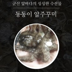 동동이 알주꾸미 1kg(9미내외)