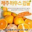 제주도 하우스감귤 2Kg 로얄과 (2S~M) 25~30과