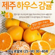 제주도 하우스감귤 3Kg 로얄과 (2S~M) 30~40과