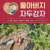 울아버지 홍감자 1박스 5k 특 / 7월4일 출고예정