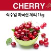 직수입 미국산 체리 1kg