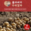 울아버지 수미 감자 수미 상5k