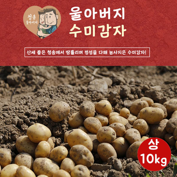[한정특가]울아버지 수미 감자 수미 상10k