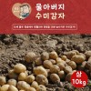 [한정특가]울아버지 수미 감자 수미 상10k