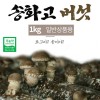 버섯돌이 송화 버섯 일반상품 1kg
