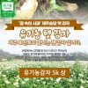 제주 유기농감자 5k 상