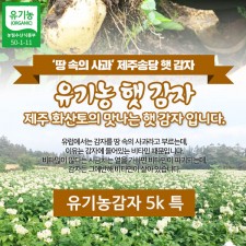 제주 유기농감자 5k 특