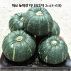 해남 늘해랑 미니밤호박 2kg(4~6과)