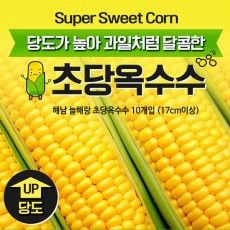 해남 늘해랑 초당옥수수 10개입 (17cm이상)