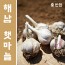 해남 늘해랑 해남마늘 중 반접