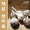 해남 늘해랑 해남마늘 소 한접
