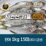 서천어부의 가을전어 1박스 1k 15미내외