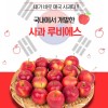 영천 미니사과 루비에스 1박스 2k(4팩)