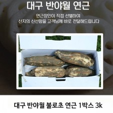 대구 반야월 불로초 연근 1박스 3k