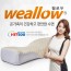 IOT 스마트 필로우 IOT Smart Pillow