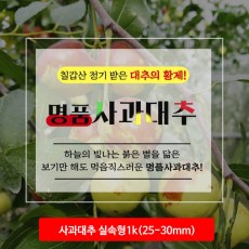 청양 사과대추 실속형1k(25-30mm)