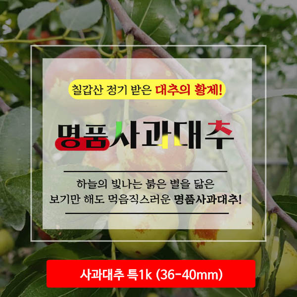 청양 사과대추 특1k (36-40mm)