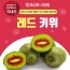 고흥 레드키위 대 3k(28-33과)