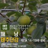 해남 태추단감 대 5k 14-19과 내외