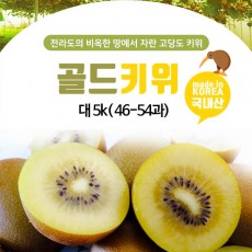 해풍맞은 골드키위 대 5k( 46-54과)